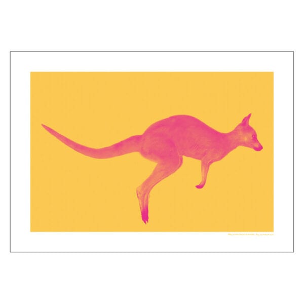 May contain traces of animals_kangaroo_A3